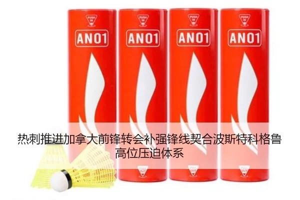 热刺推进加拿大前锋转会补强锋线契合波斯特科格鲁高位压迫体系